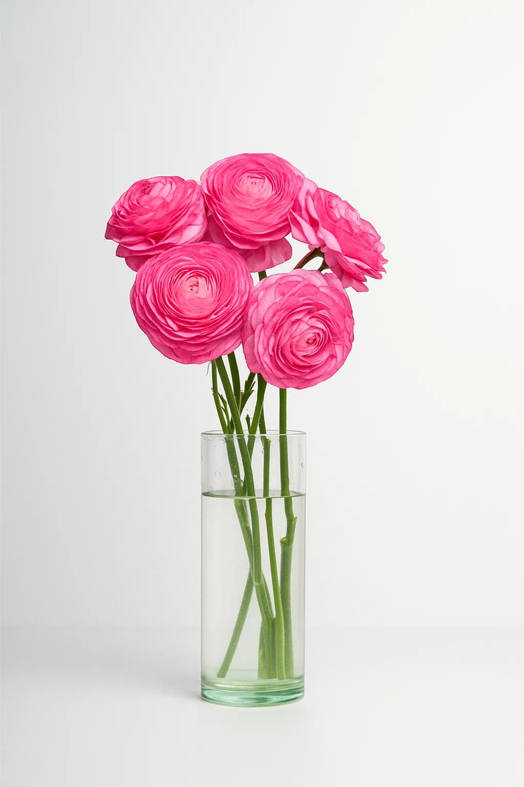 Ranunculus