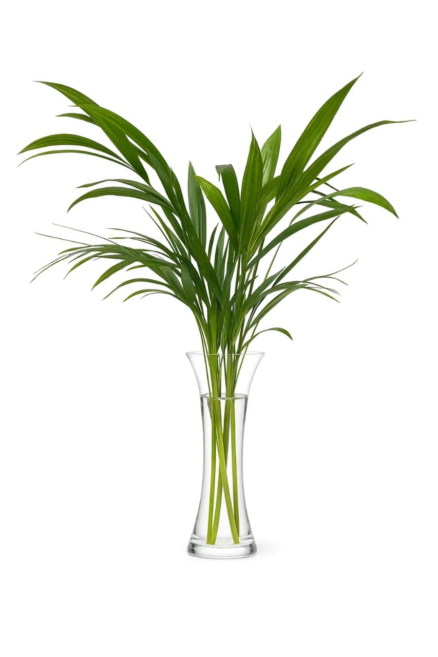 Greens